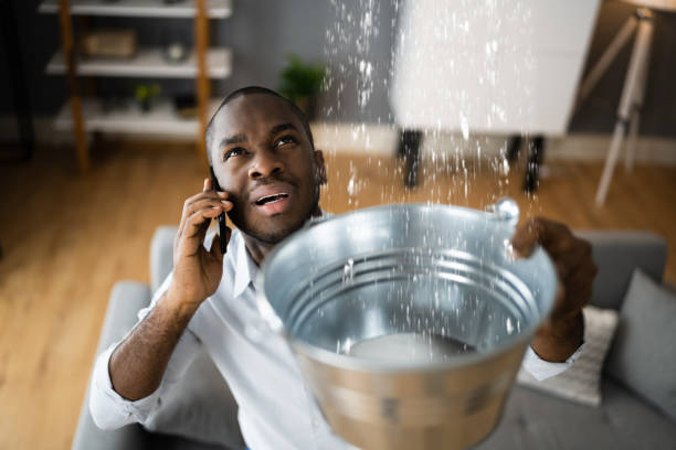 Best Basement water damage restoration  in Munford, AL