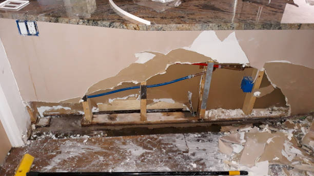 Best Fire Damage Restoration  in Munford, AL