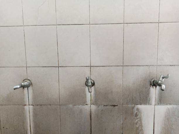 Best Flood restoration services  in Munford, AL