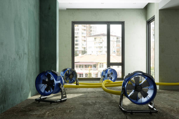 Best Water damage restoration near me  in Munford, AL